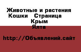 Животные и растения Кошки - Страница 2 . Крым,Ялта